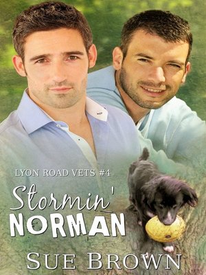 cover image of Stormin' Norman (Lyon Road Vets #4)